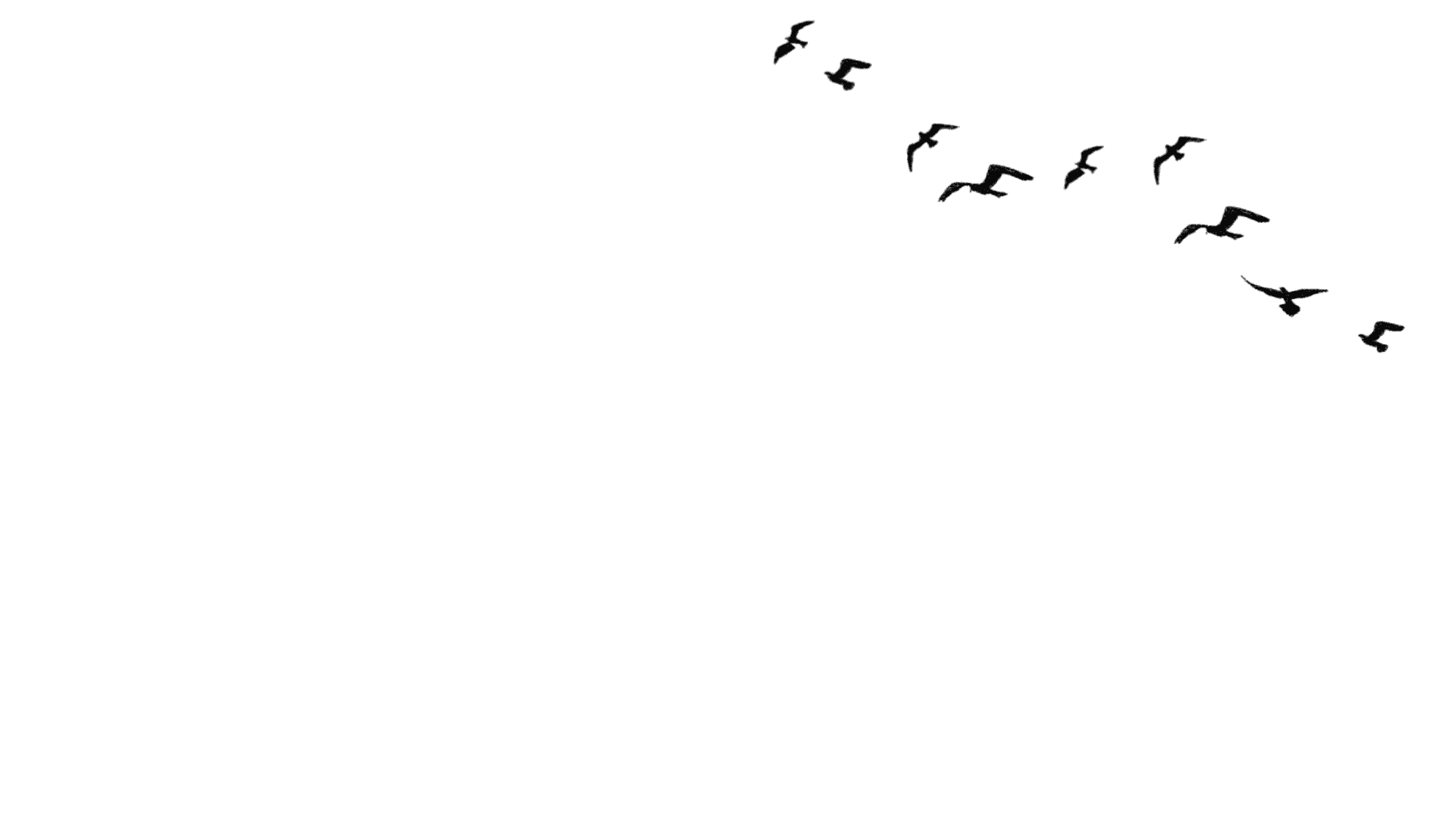 Parallax Section